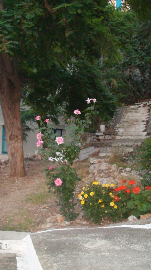 Apartment Gialos Σύμη Εξωτερικό φωτογραφία
